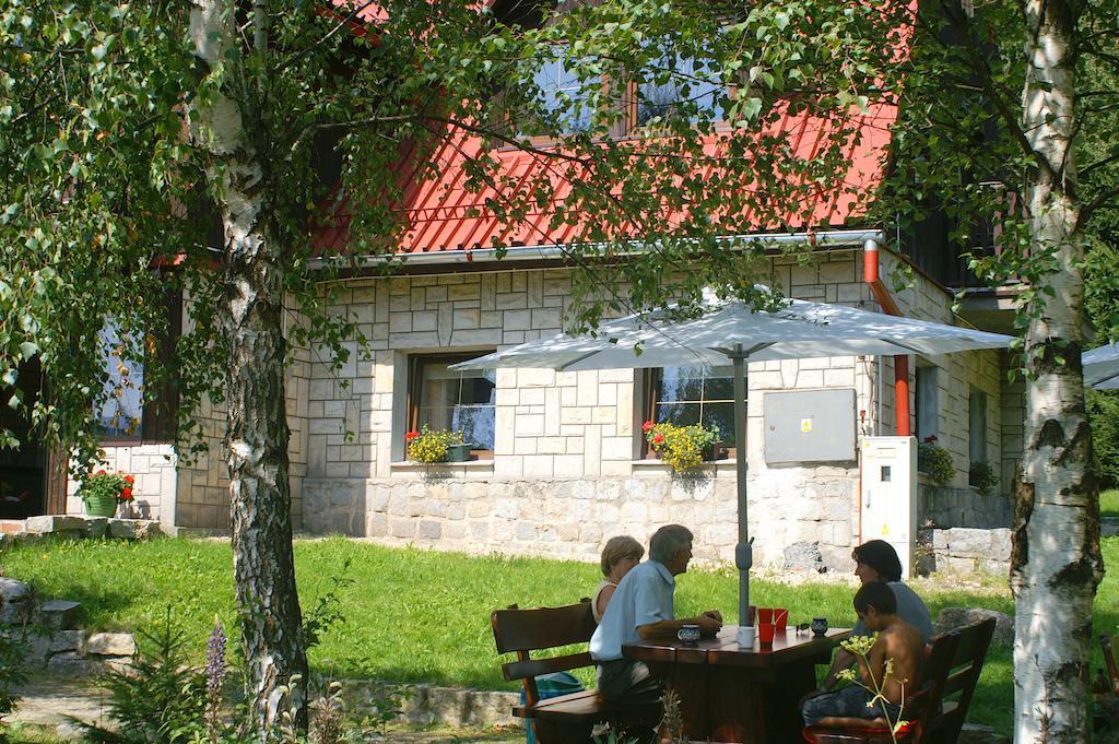 Bed and Breakfast Czajka Шклярска-Поремба Экстерьер фото