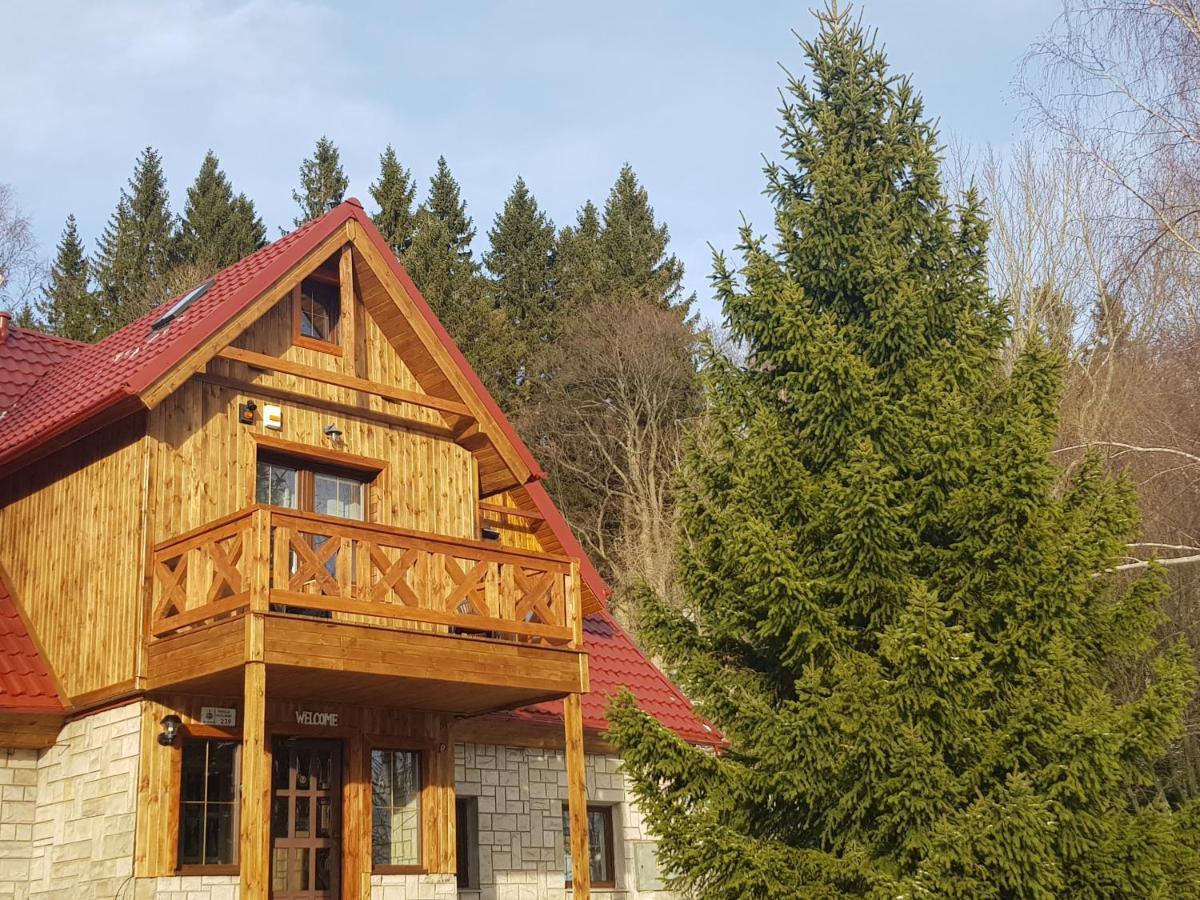 Bed and Breakfast Czajka Шклярска-Поремба Экстерьер фото